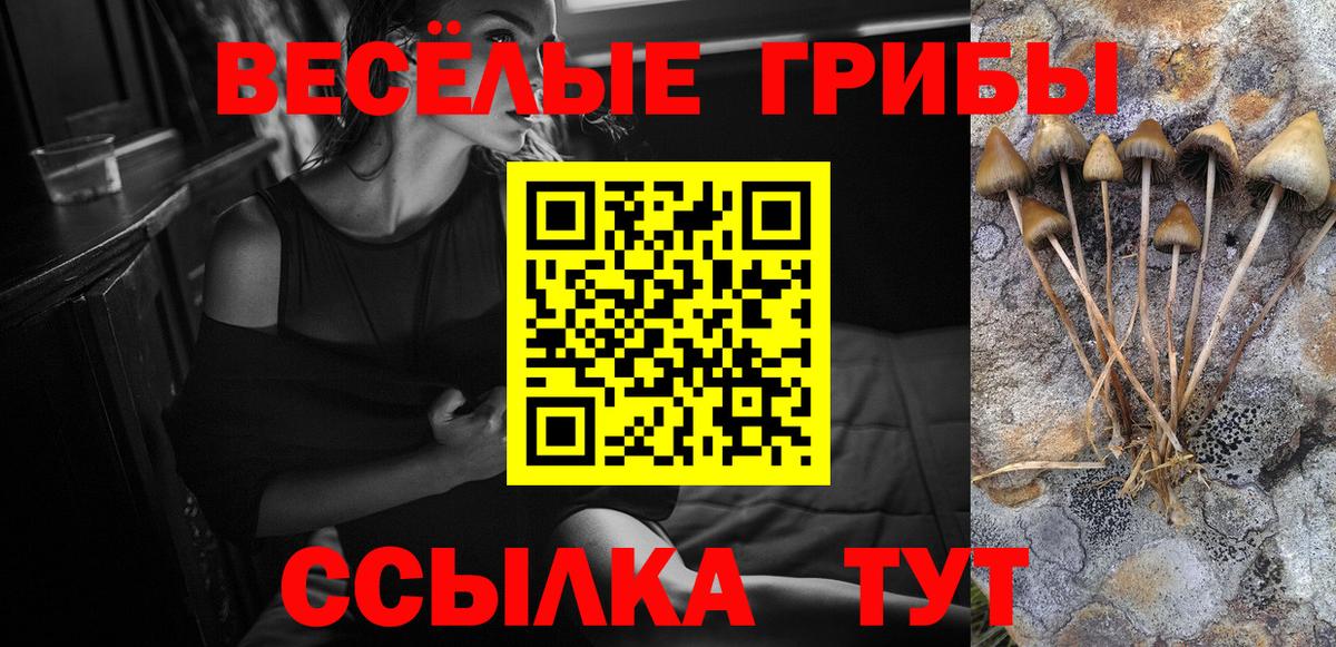 Галлюциногенные грибы MAGIC MUSHROOMS  Галлюциногенные грибы Psilocybine cubensis  Вход с VPN  Балахна 